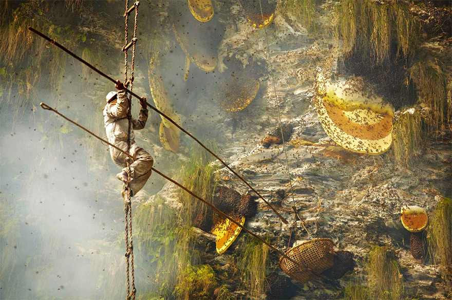 Remarkable Photos Show Nepal’s Ancient Tradition of Collecting Himalayan Honey