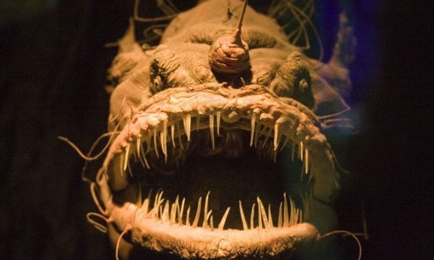 7 Most Terrifying and Bizarre Sea Monsters that Actually Exist