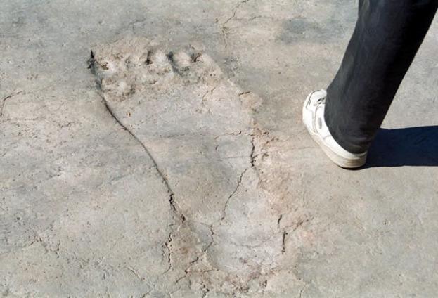 footprint-30