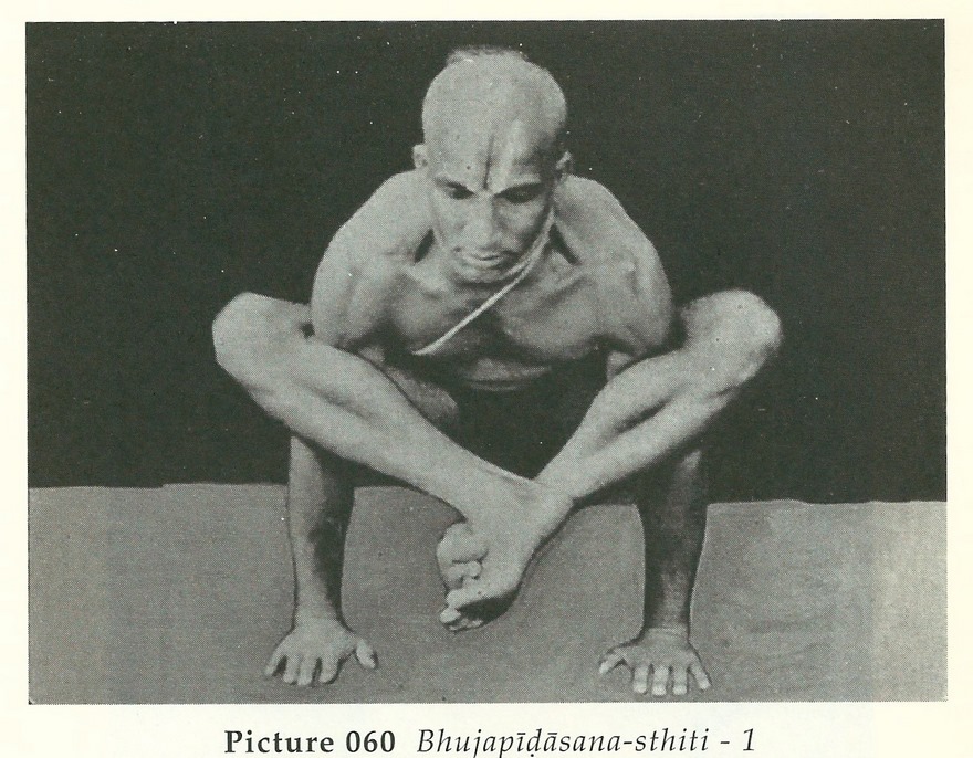 Krishnamacharya: The Father of Modern Yoga